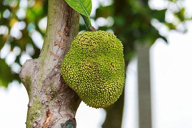 《泰坦之旅2》新截图和细节公布：有趣地方多 等你发现